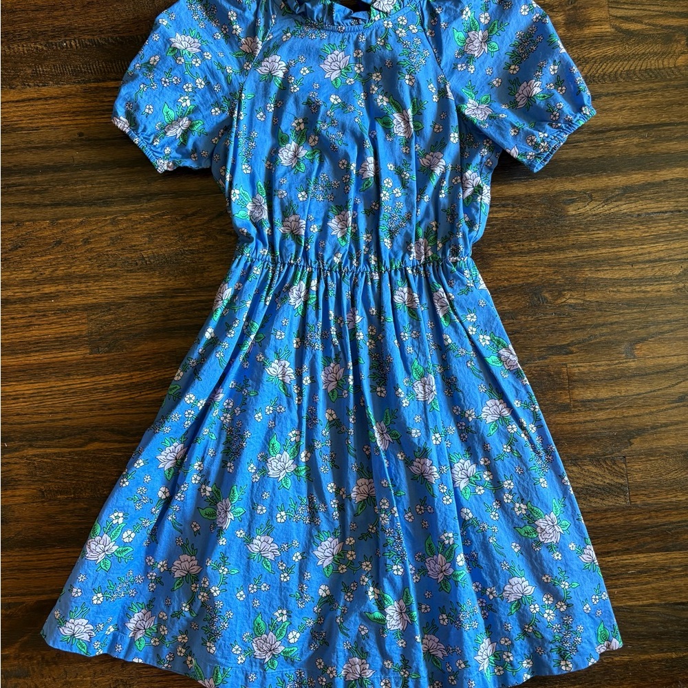J. Crew Factory Floral Mini Dress